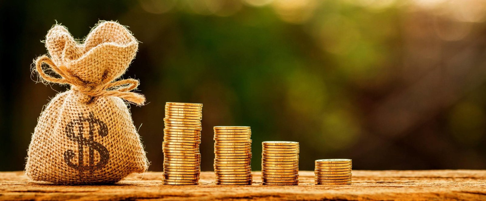 How Much Capital Do You/I Need to Open a Bank?