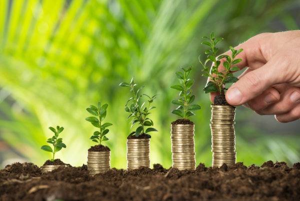 wealth growth