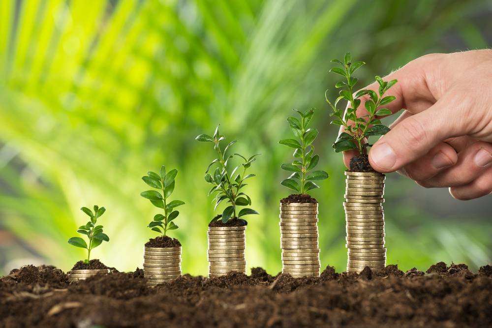 Is a Bank a Profitable Business?