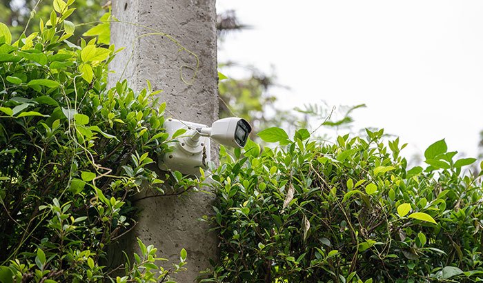 Install a Leaf Guard System Now!