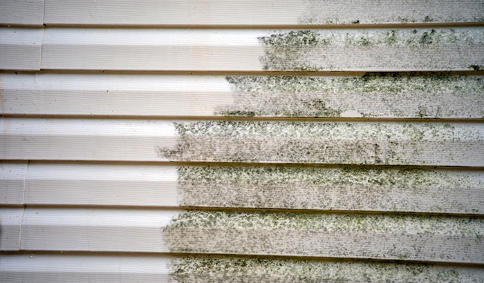 How To Remove Mold From Your Siding