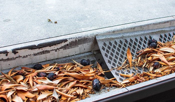 Do You Still Need to Clean Gutters with Leaf Guards?