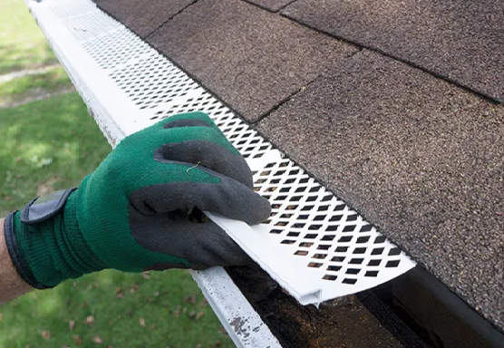 Leaf Guards, part of a roof with at least part of a leaf guard