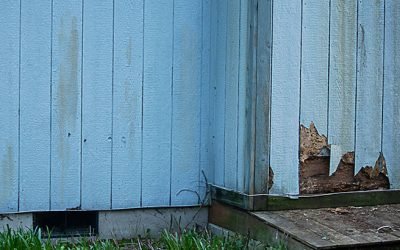 5 Reasons To Fix Your Damaged Siding Right Away