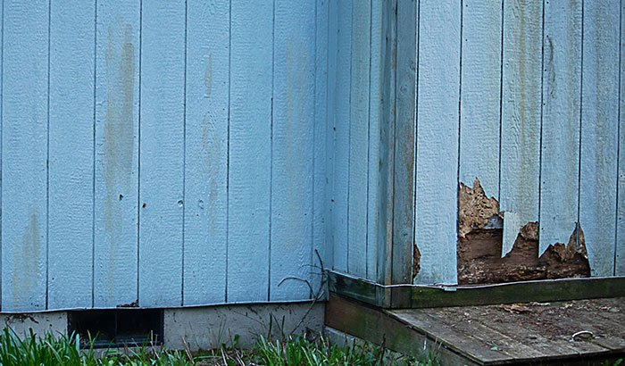 Fix Damaged Siding