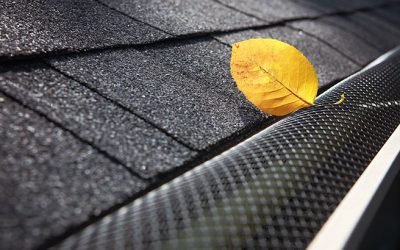 What are the Pros and Cons of Leaf Gutters?