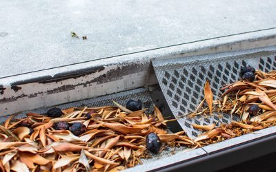 Do You Still Need to Clean Gutters with Leaf Guards?