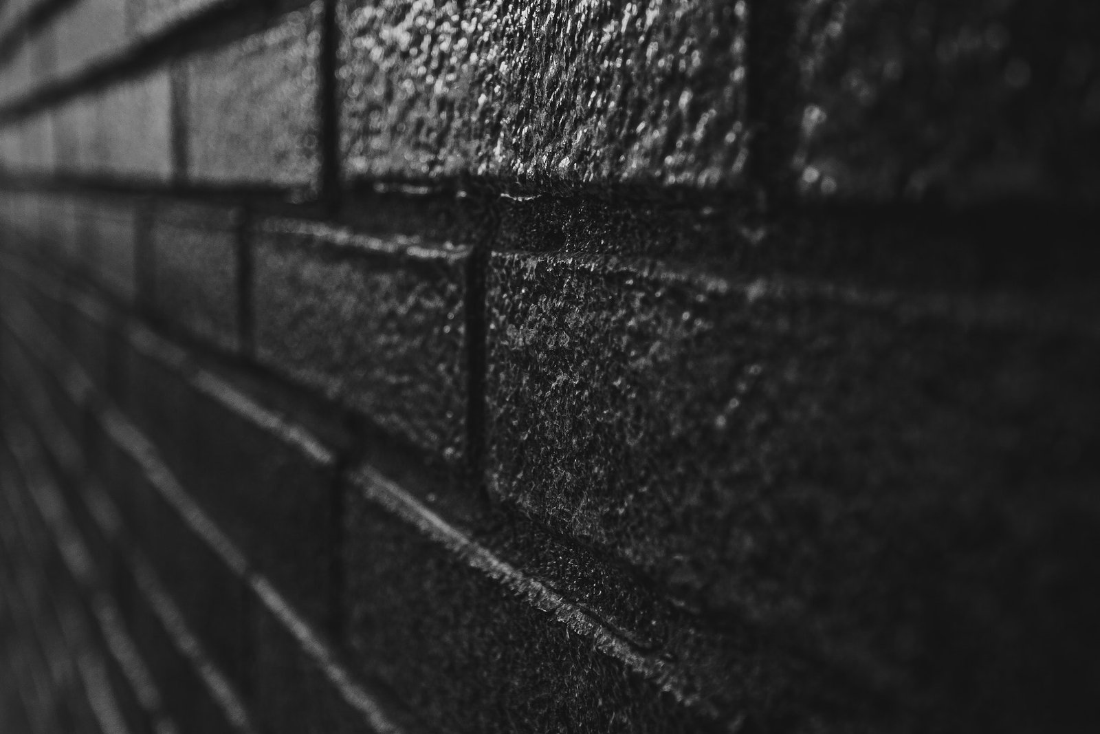 pexels-ave-calvar-martinez-4337031