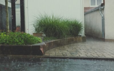 Common Causes of Roof Leaks in Salt Lake City