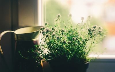 Utah Spring Home Maintenance Checklist