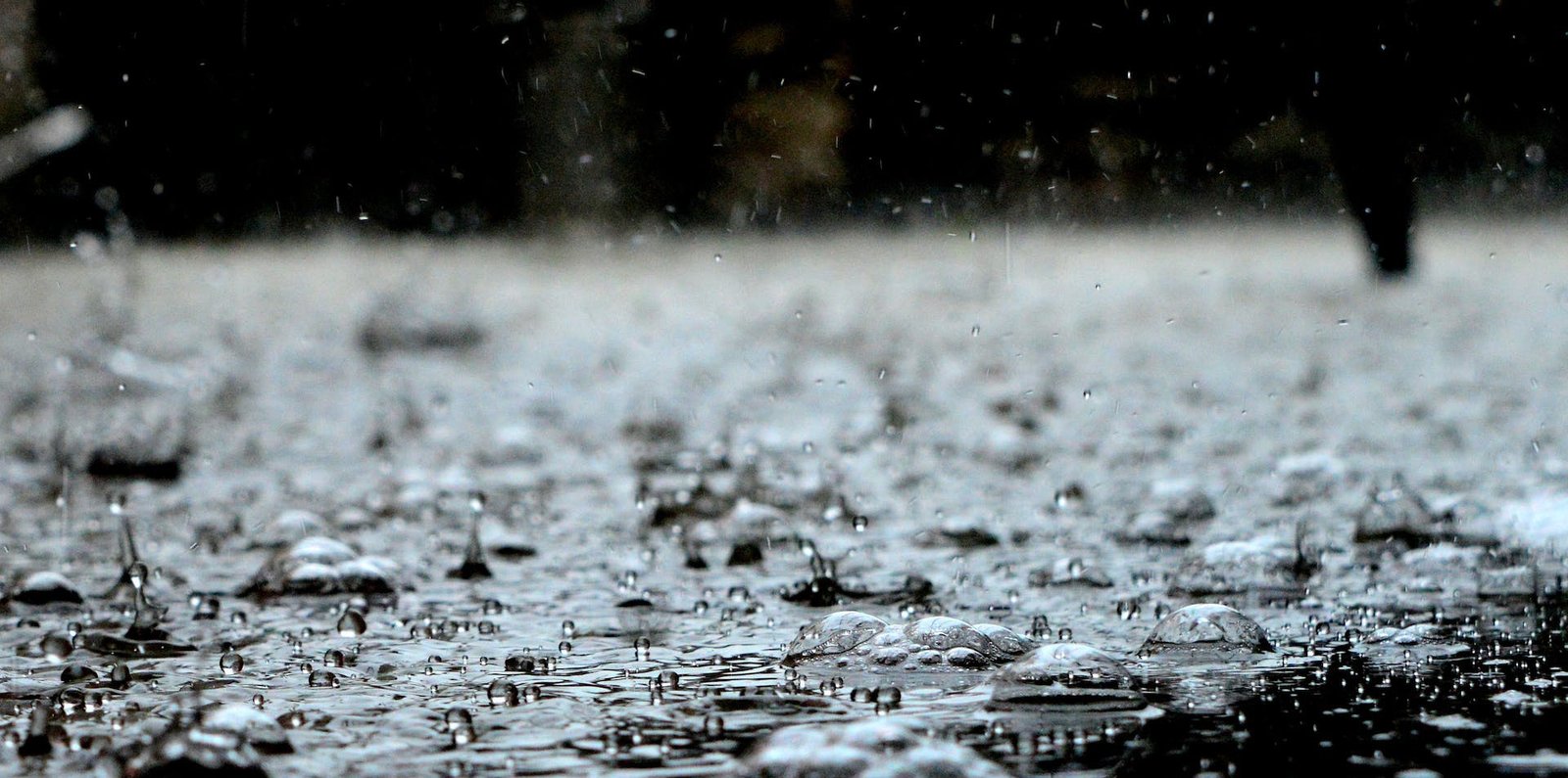 Weather