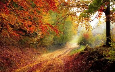 Utah Fall Maintenance Checklist