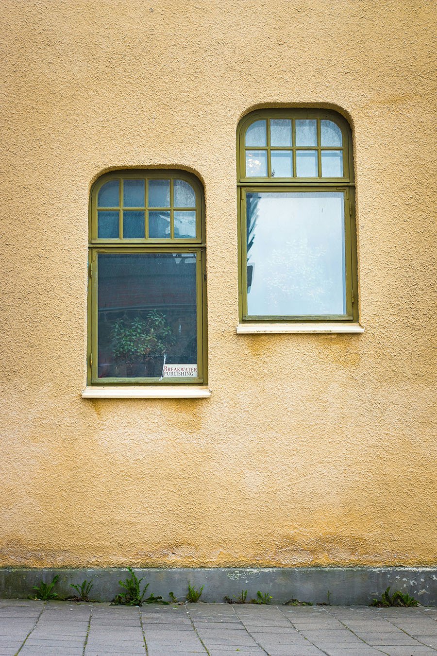 Single Hung.evelina-friman-74LNap6czbo-unsplash