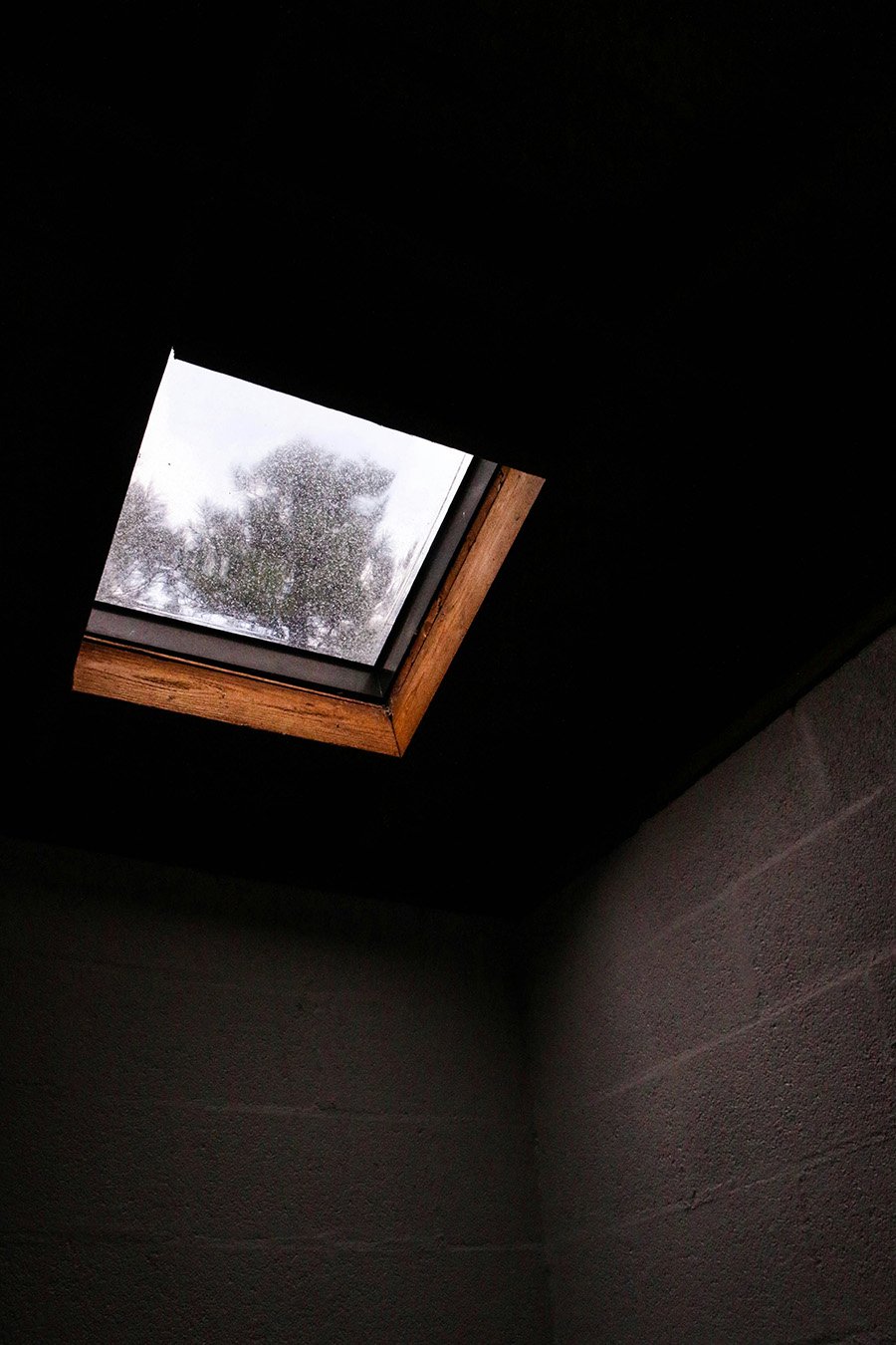 skylight.emily-rudolph-lpdBMUw6Kp4-unsplash