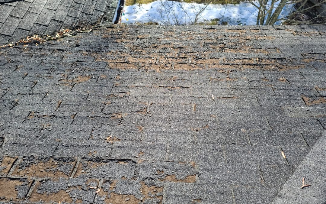 12 Signs You Need a New Roof for Your Home