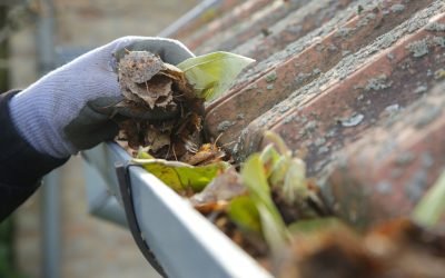 How to Clean Gutters: The Complete DIY Guide